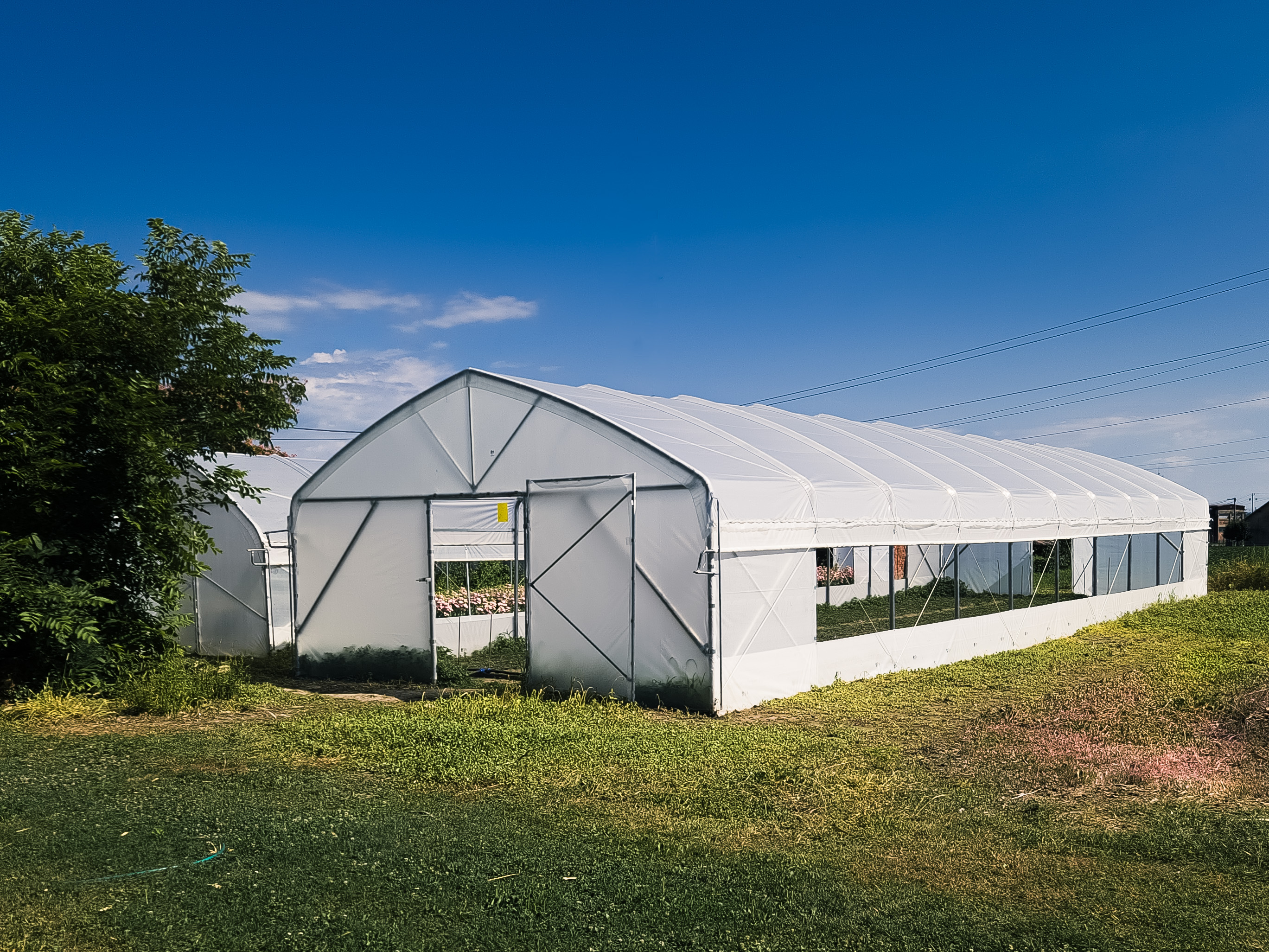ARX Titan 60 plastenik širine 6 m